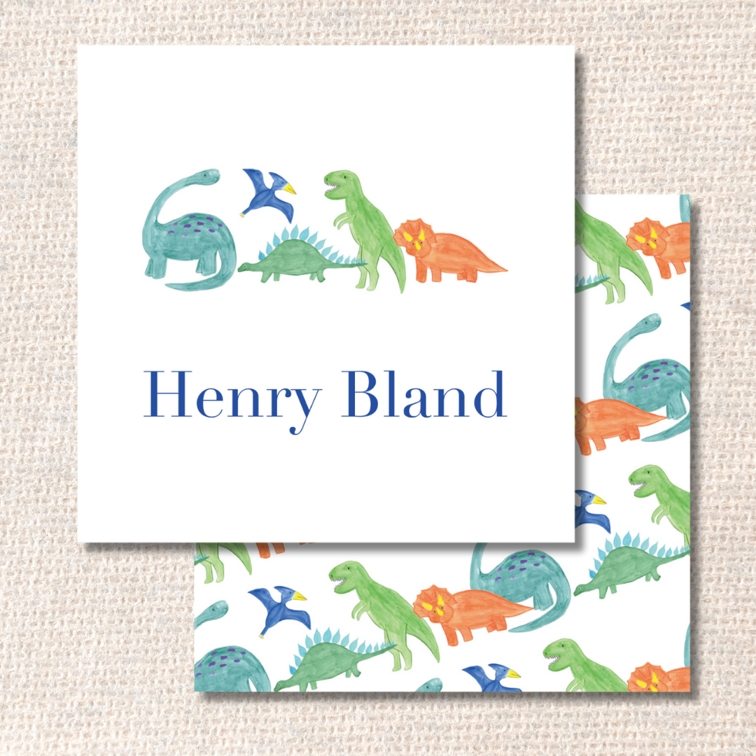 Dino Friends Enclosure Tag