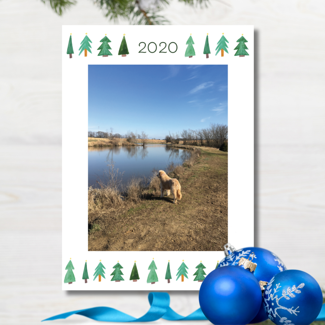 Merry Christmas Card